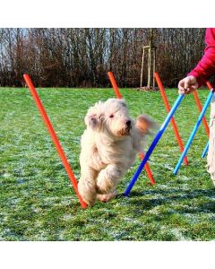 12 stangi agility, 115x3 cm