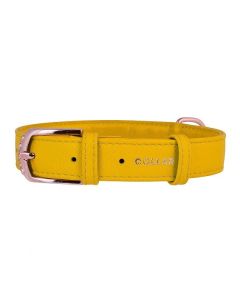 Collar: Kožna ogrlica Glamour Fashion, žuta