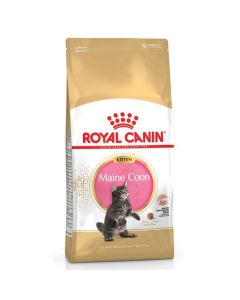 Royal Canin Kitten Maine Coon